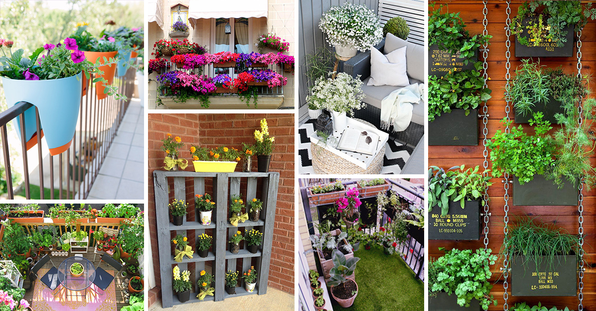 7 Charming Balcony Gardens Ideas