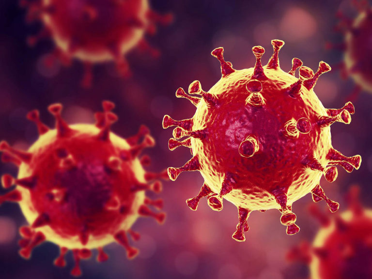 The Daily Star: South Korea winning the fight against coronavirus using big-data and AI